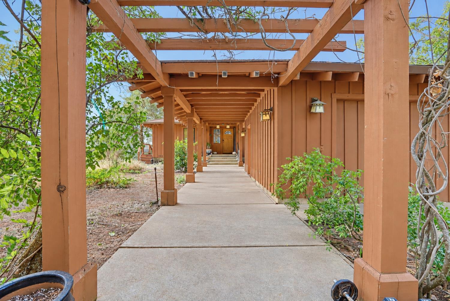 561236061_1469054d-c6b0-47e6-be9f-a50bda0691fc.jpg