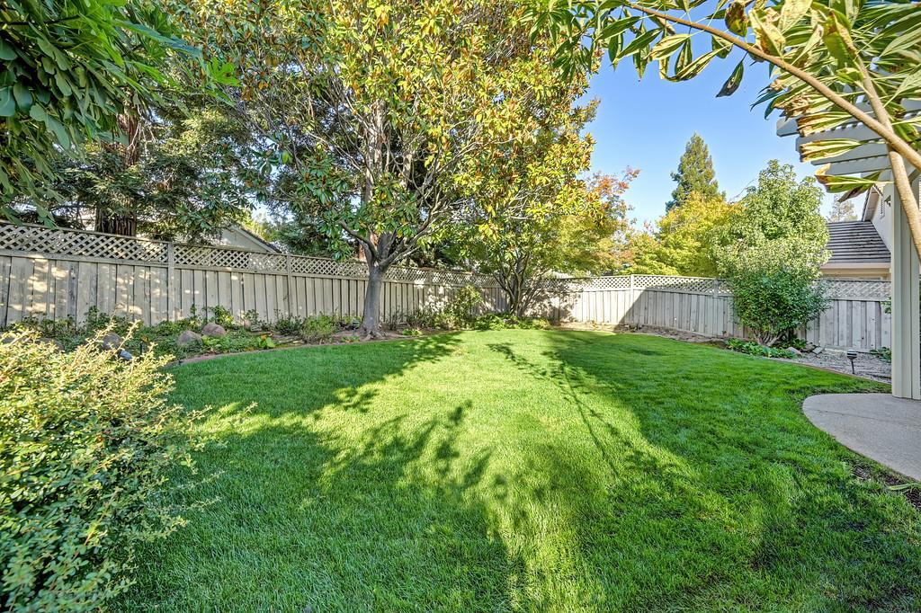 561236076_2c2a9314-1156-4819-a8ff-418bc174d990.jpg