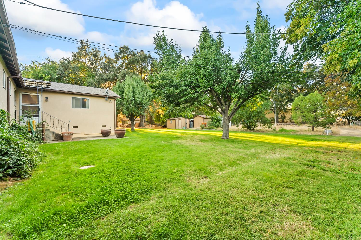 561235682_4c7b374b-cda3-47b8-a5e6-e8f508ca5c72.jpg