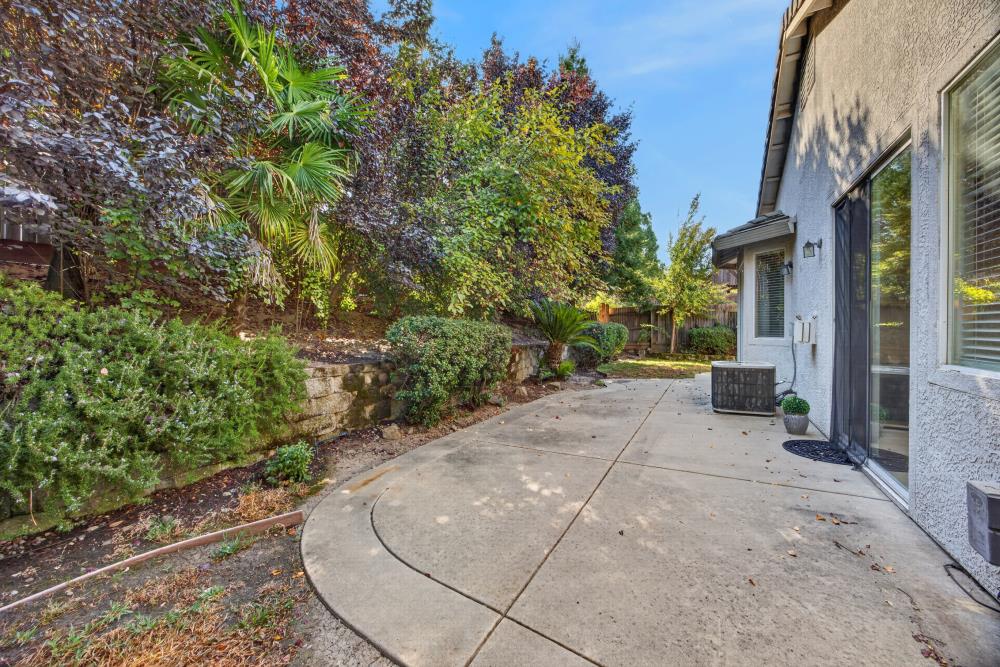 561235259_a0038bf3-31fe-472b-9721-e0a65c504673.jpg