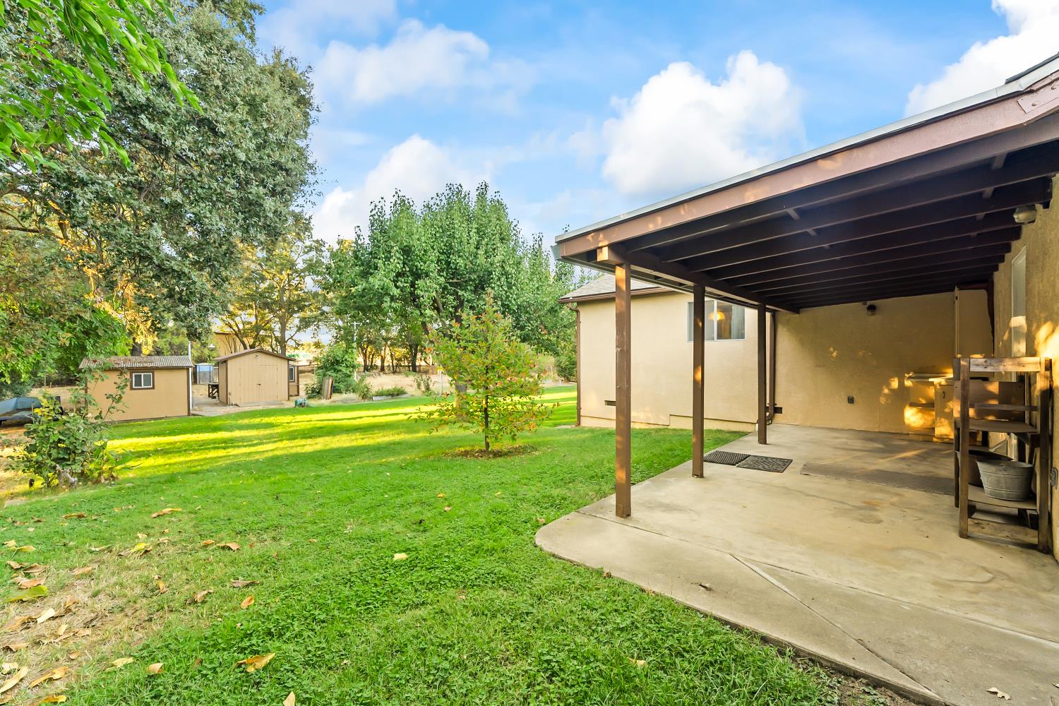 561235682_c31fef32-135e-47b7-a778-8fdf520a0f92.jpg