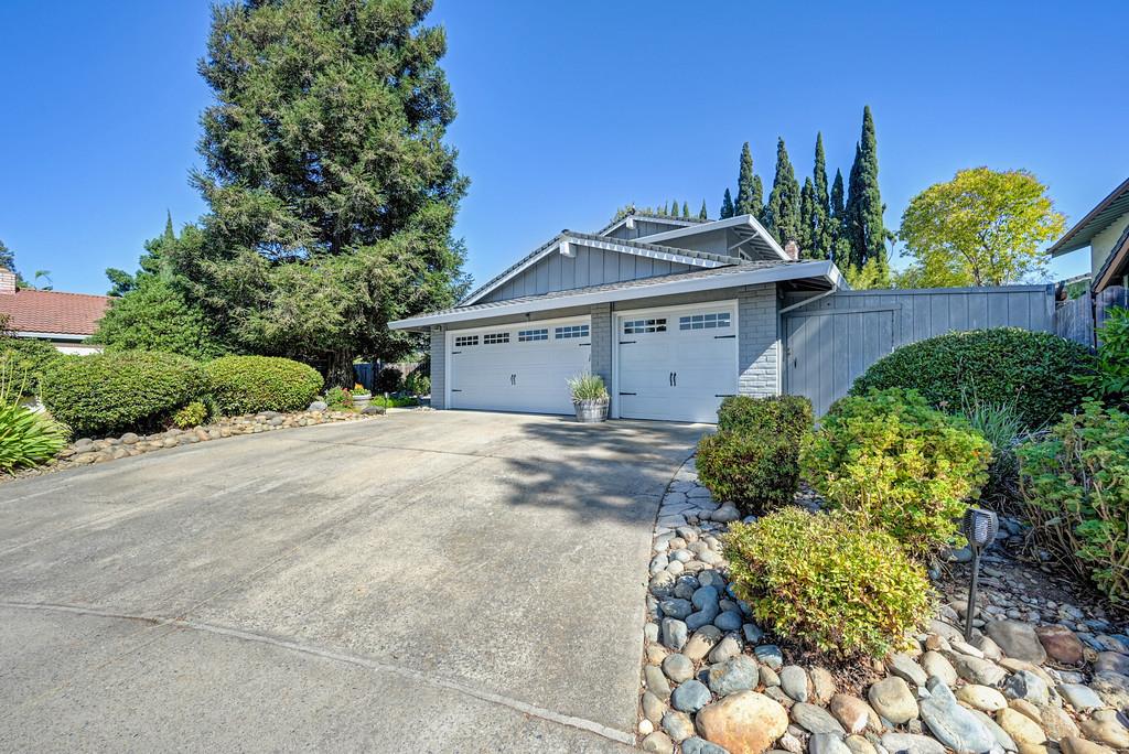 561236413_36c8d30c-2714-467f-bb8c-d8979de5ff6e.jpg