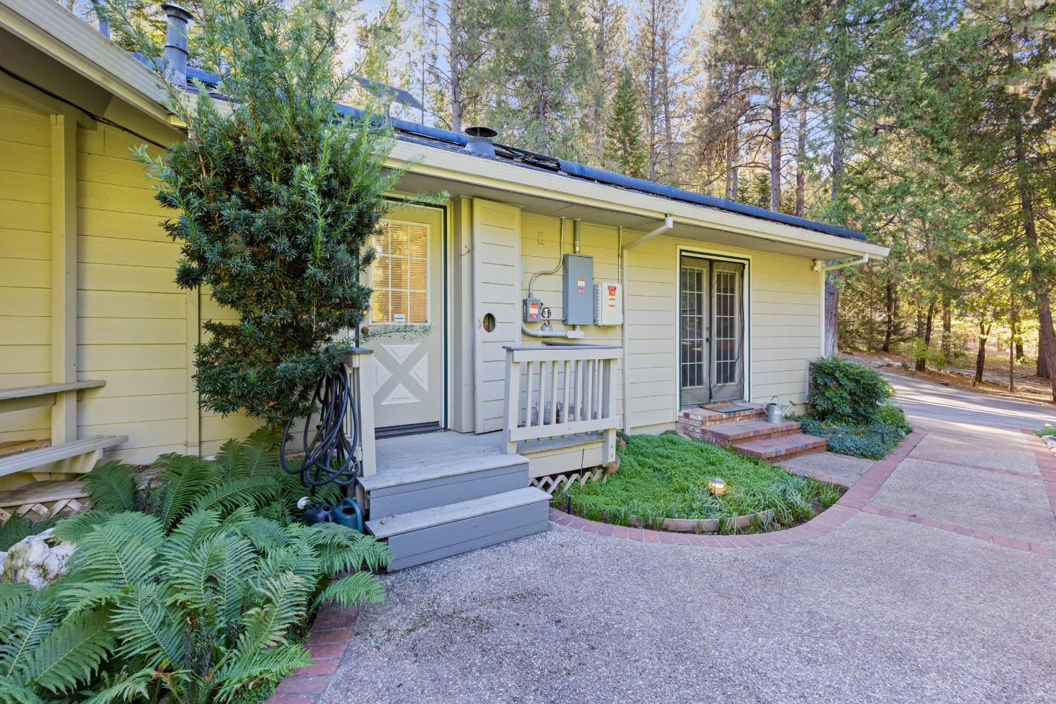 561236773_fcc04cfe-d222-4ea2-919a-5bfd7e8d3f72.jpg