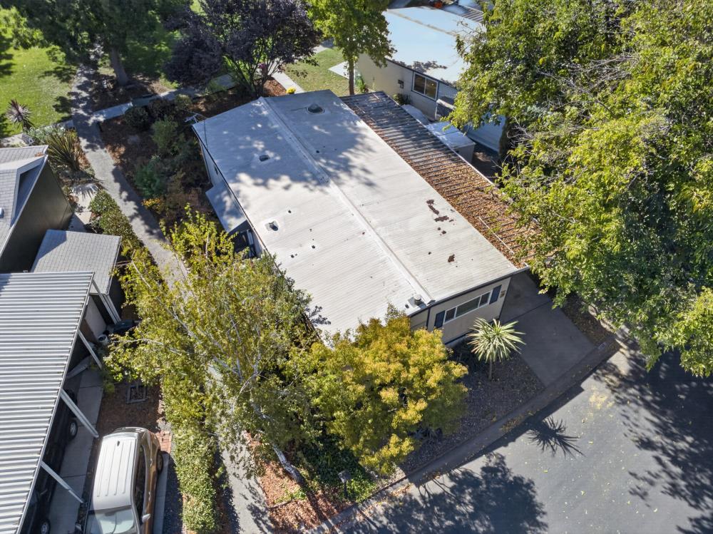 561237459_6d7d399d-f51d-42c2-b80a-1ebf6c872106.jpg