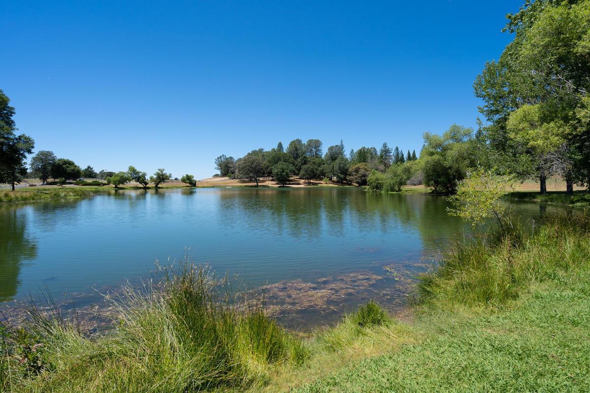 561237590_f146d680-f789-4585-8a48-28c7c98ca9e5.jpg