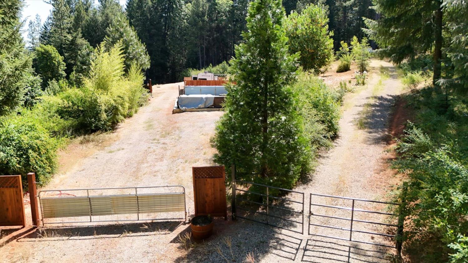 561236833_35633852-d801-4524-85a1-6de57d285208.jpg