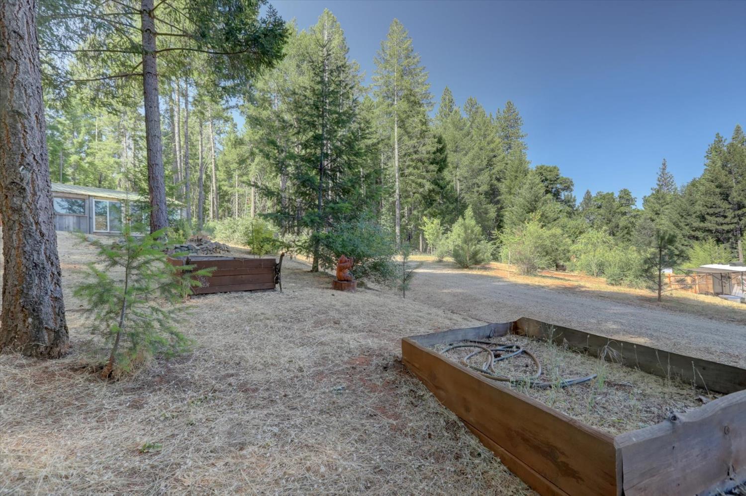 561236833_9ada3cd5-18ca-497d-ab18-1b27d77fb422.jpg