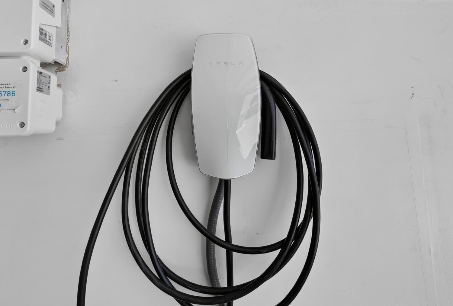 561238219_ecf1cec9-1980-461c-9805-ca949e037731.jpg