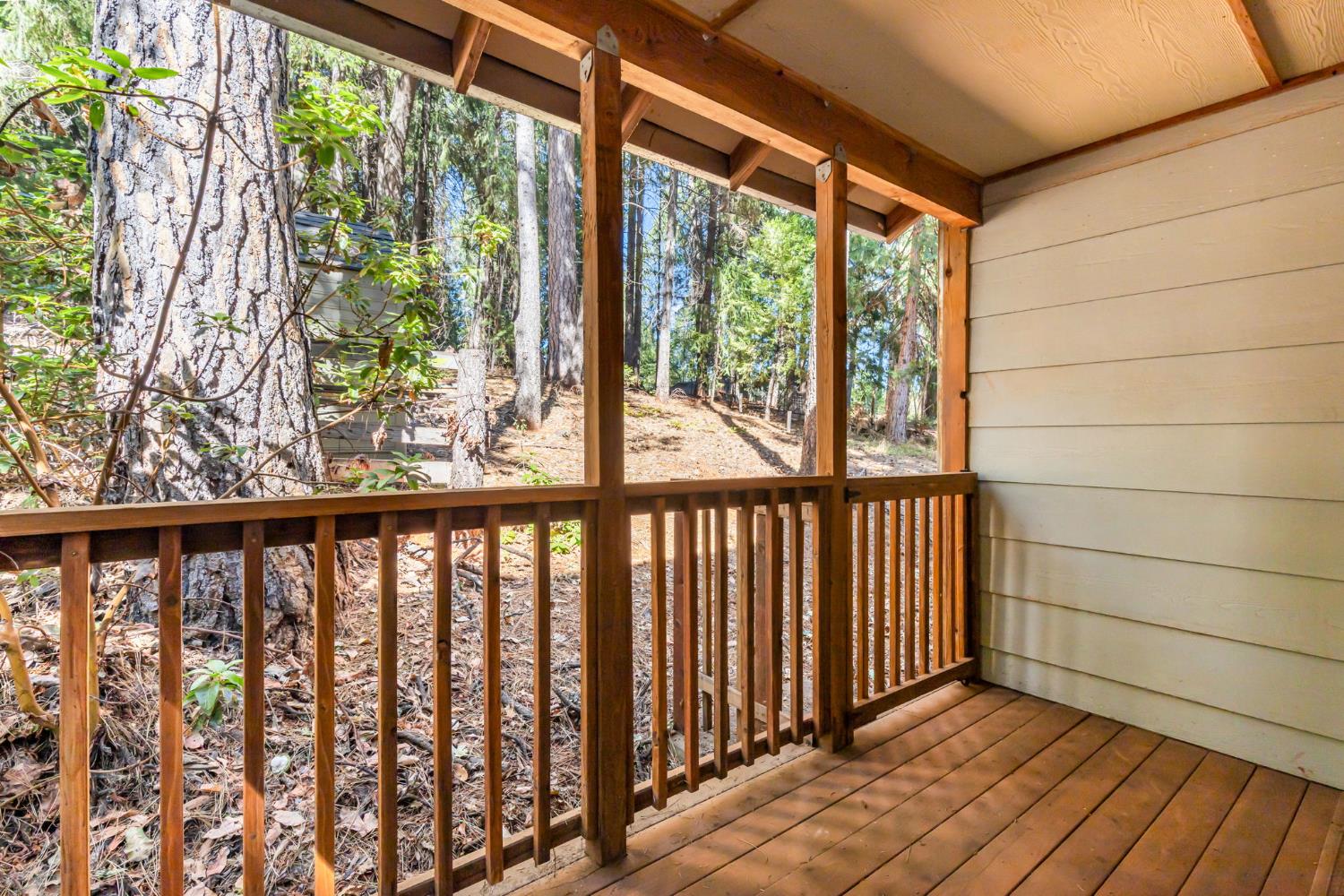 561239355_5fe0f4ef-dbbe-4cb4-aeb6-7990aa29142e.jpg