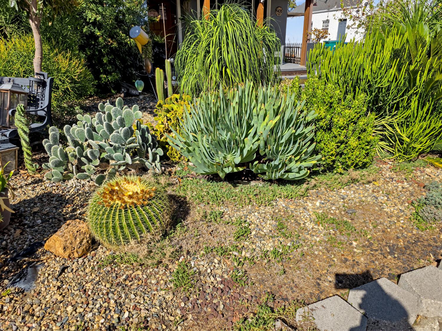 561239844_50466c4e-e3b4-4416-9069-62c70213f434.jpg
