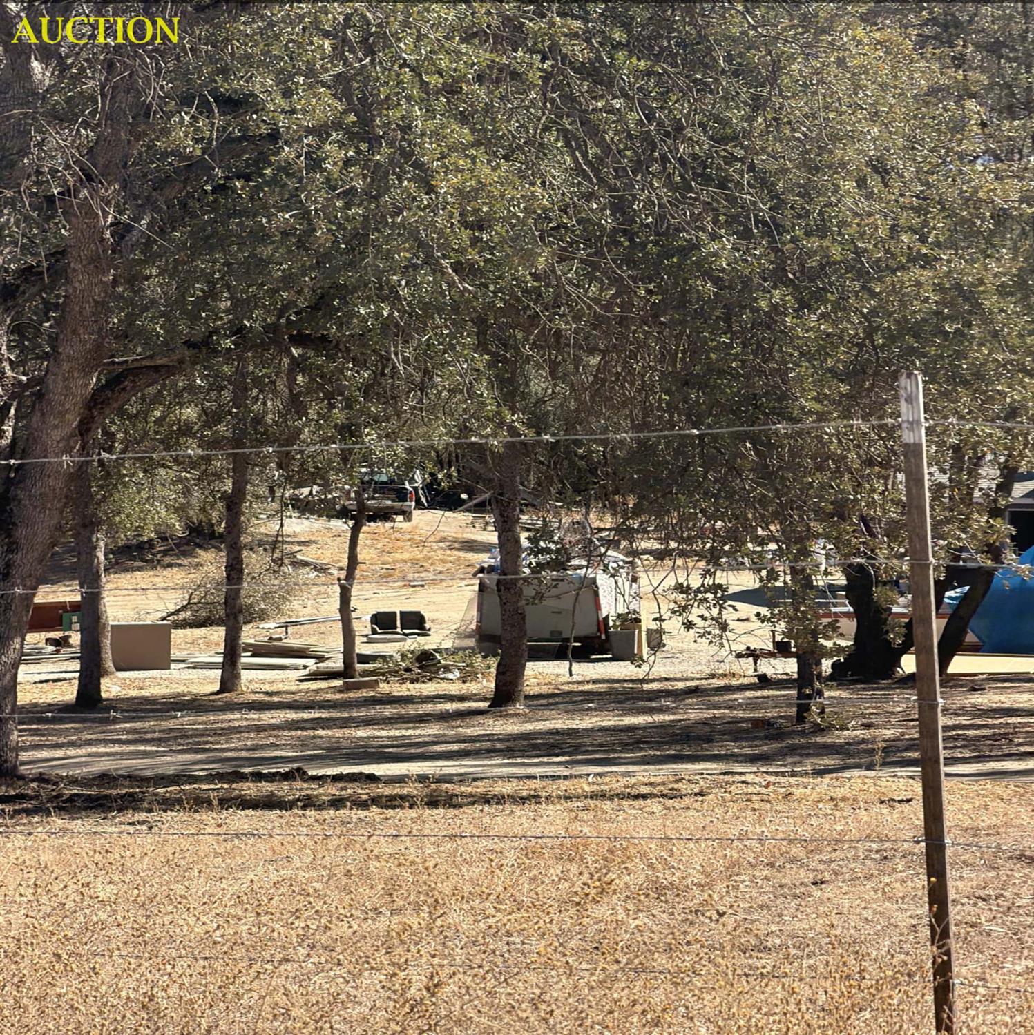 561240084_9dbf115c-3bd9-4110-9181-cfb619e73839.jpg