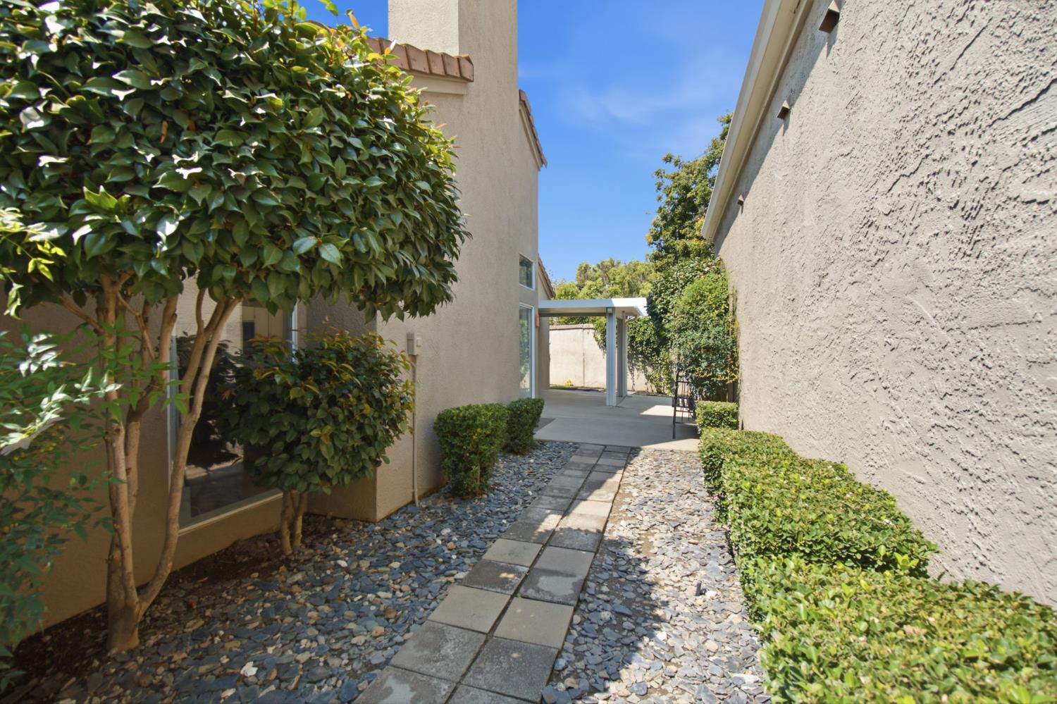 561240769_0f254817-2ef2-496f-9fed-394eb1023c1b.jpg