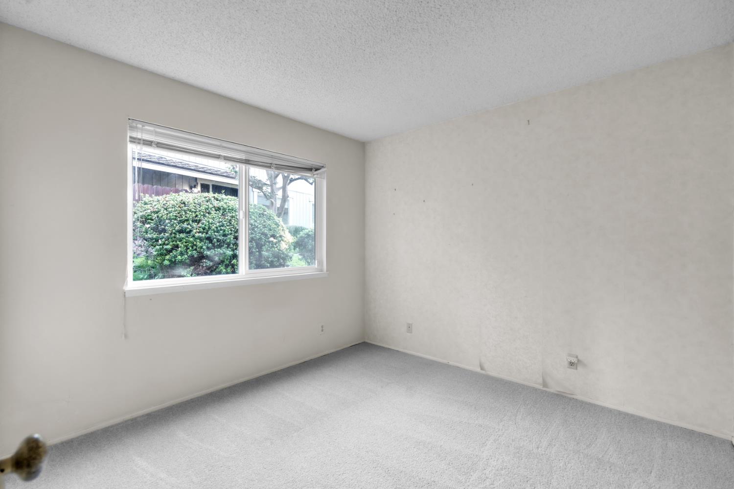 561240752_4022f64d-8206-4d31-9bd5-2bd49cc147cc.jpg