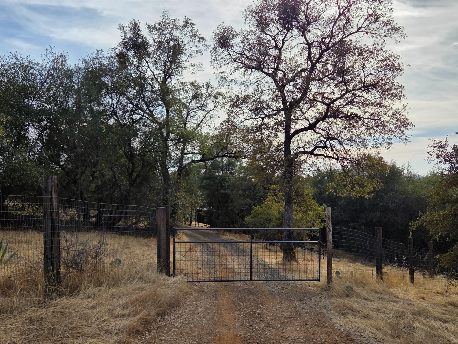 561240684_9f110c8a-a9fc-42e1-b556-eefa70579776.jpg