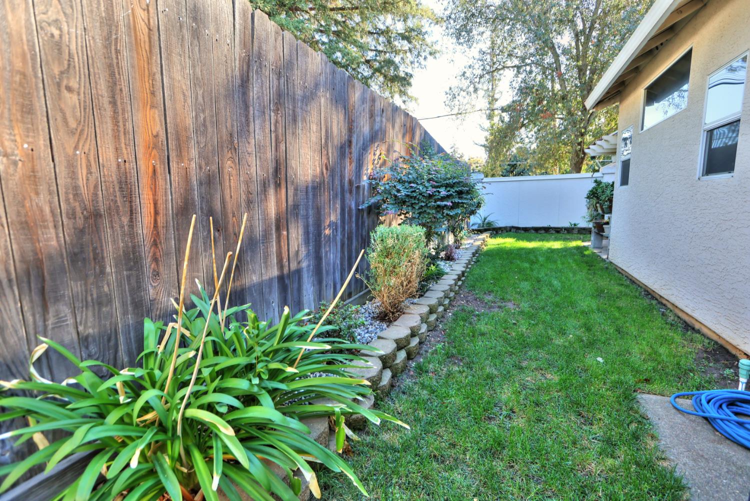 561242348_0ebb2787-71bd-4ae4-a41d-c97ccfff4a73.jpg