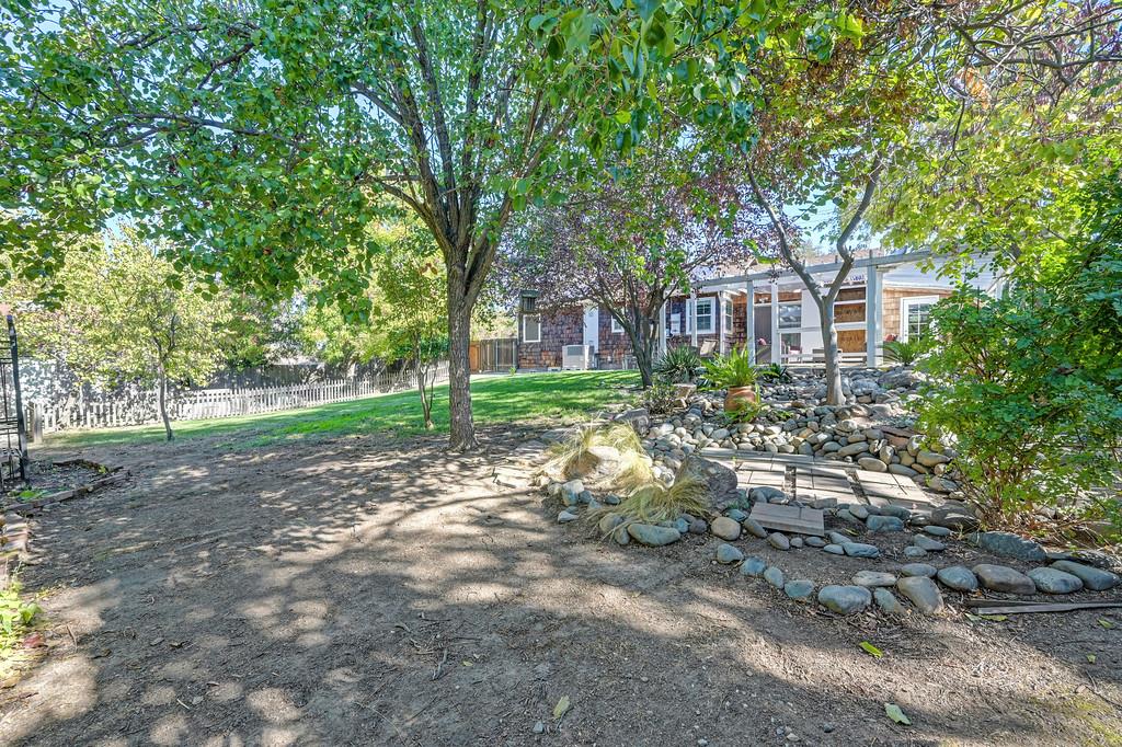 561243150_d16cbcf0-7eb1-46f2-ab86-9272bec186aa.jpg