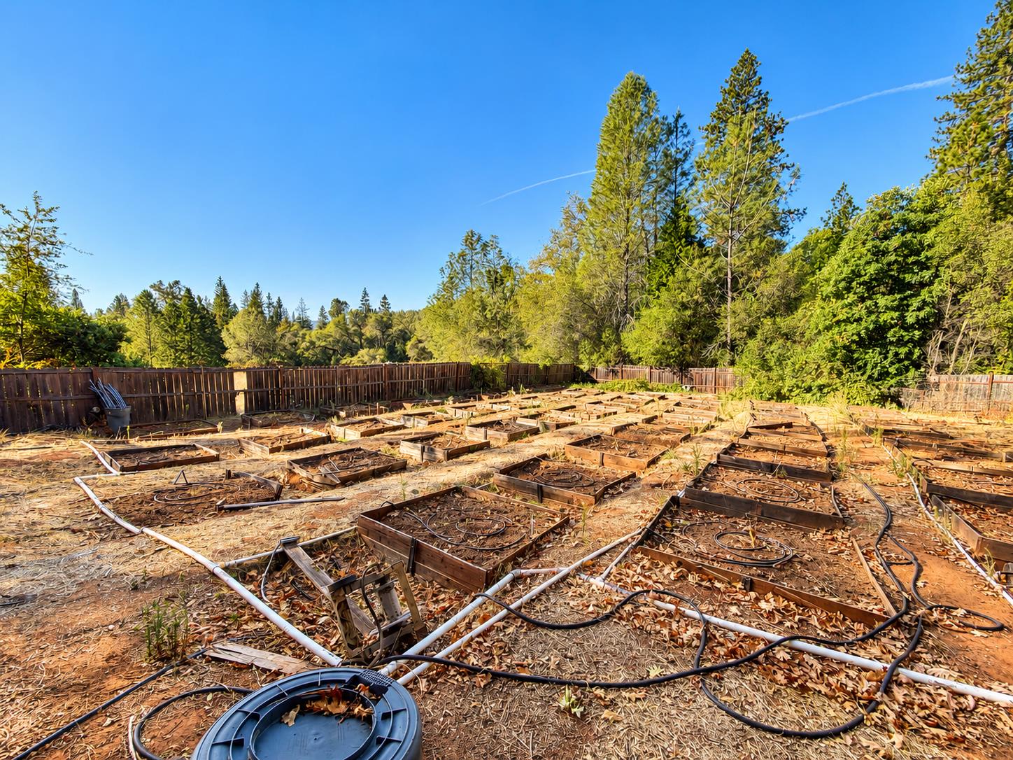 561243344_f086e639-3ebe-4f1d-96e8-87d75611ec01.jpg