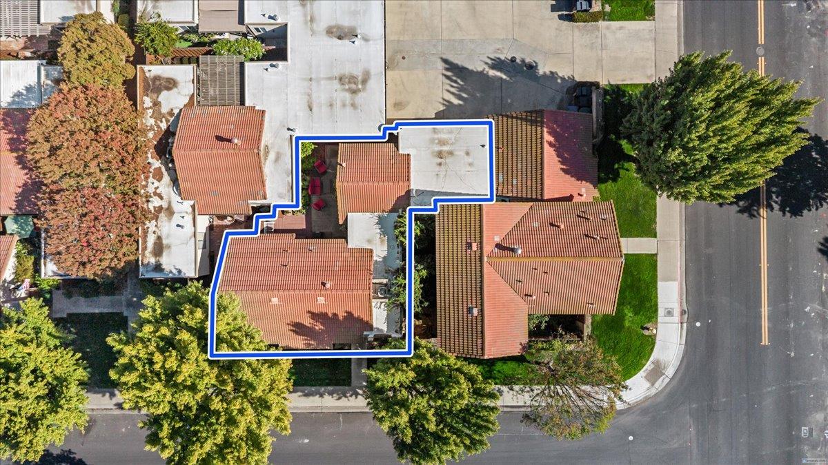 561243876_4b267650-375b-4ad8-9911-c0594a1e5500.jpg