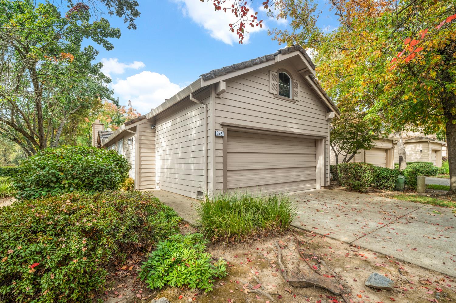 561244026_2767d36a-8a32-4619-b997-0698e419f0c0.jpg