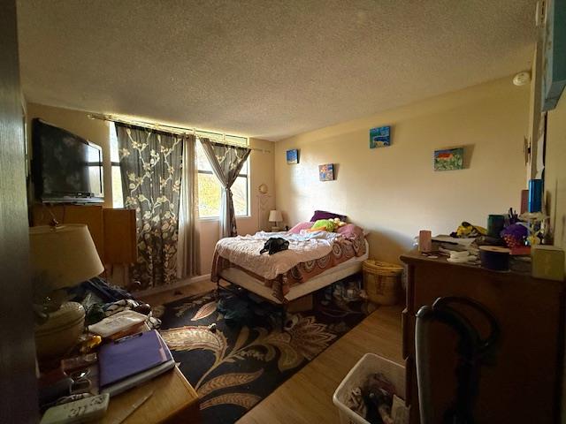 561244708_cd17a61f-2c53-4ea8-8696-53def0d74a2d.jpg