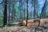 Thumbnail Photo