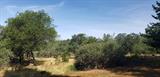Thumbnail Photo
