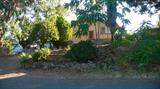 Thumbnail Photo