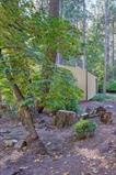 561204185_d50edca0-9097-4014-bd9a-c3f56c32e153.jpg