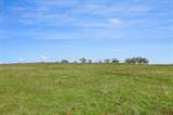 561207127_1726fbb0-8a25-4249-b28e-67368c5deb09.jpg