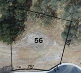 561205830_fea18194-befe-4f8d-9a38-307b8450d98c.jpg