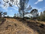 561203597_9b83028d-4dac-4c28-998f-7c59a98a12a0.jpg