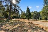 561218043_6a60139b-c371-40ab-bc48-86d874f70d1f.jpg