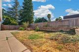 561223899_c0d96920-414b-4937-929b-6ef6893d39d8.jpg