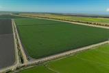 561224192_3eeb4101-8193-44b2-aaa4-ac96cdd2bd83.jpg