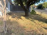 561224500_53e6dbf8-77b1-4a21-b9ce-9f628d68b6bc.jpg