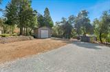 561219050_b2cfd737-bb70-451a-990c-7a05165d430f.jpg
