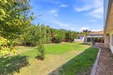561226525_2a86a446-d55c-4c0b-968e-f152f4bd7633.jpg