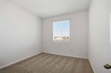 561230667_10ba0557-5348-43cf-b295-ddf6f82b7ee2.jpg