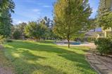 561228889_e12138c8-5a57-44df-8c9a-90bd3744ea7b.jpg