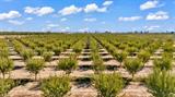 561229402_f8f45d9e-cac0-4b3d-a2b2-c5a99d4a2b8a.jpg