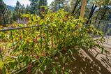 561229853_bbc719f8-35ab-4284-916a-d31e96ded478.jpg