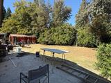 561230847_199a0a85-cfeb-4a16-8ea5-5da6a26a94b6.jpg