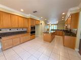561230910_0ca7b8a5-fb6d-4411-9d46-a16e6231ab6e.jpg