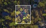 561231934_2d26c8ce-48bc-46aa-882d-08aad531bd13.jpg