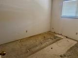 561230628_3c9e3f55-2084-4fc4-afb3-0a9198787940.jpg