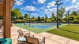 561232674_63a08d4b-341e-4635-8bd9-5f52d3ac2110.jpg