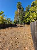 561232211_d20d3de1-0937-4e9b-9ca3-8adc5fa5033c.jpg