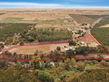 561233995_7be88963-9f05-44e6-9394-32838b40bbda.jpg