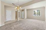 561234622_79dc545c-a8db-444c-96ae-79814ceeddf2.jpg