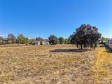 561234459_d49523f2-8676-4420-853b-4aeee0b76502.jpg